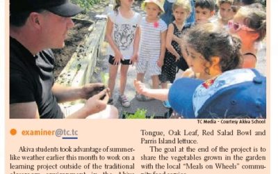 Akiva Organic Garden in the Westmount Examiner