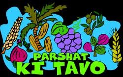 Parshat Ki Tavo – Is it better to be the first or the best?