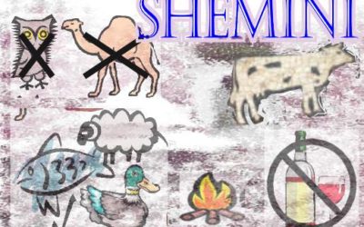 Parashat Shemini – Food for thought